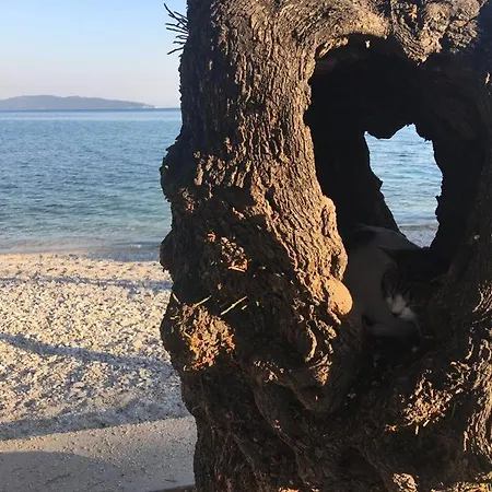 Barba Luka, Near Beach, Beautiful Views Kastela Exterior photo